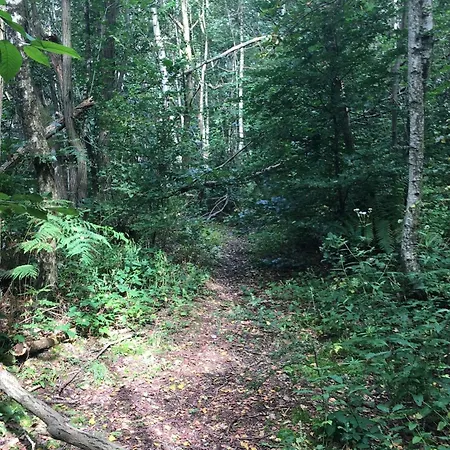 With View Near Coo 別荘