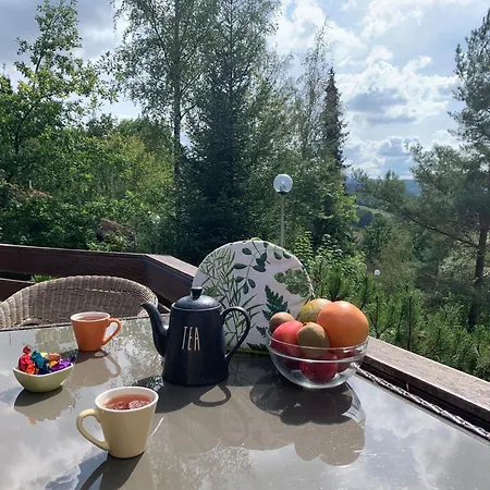 別荘 With View Near Coo