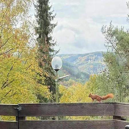 With View Near Coo Casa de Férias